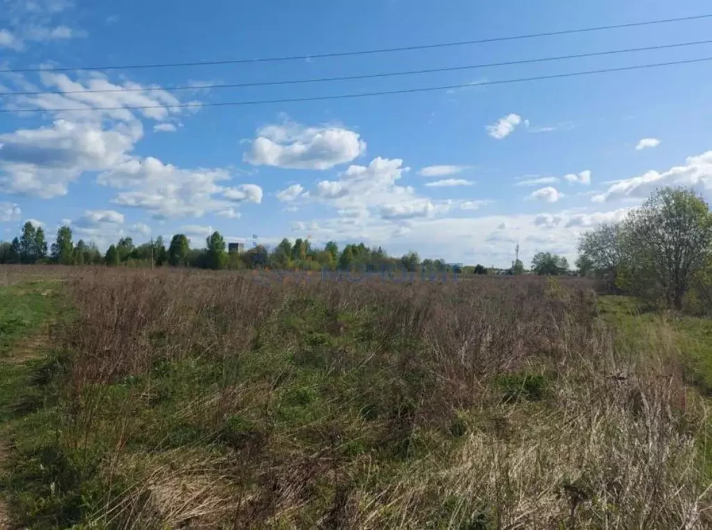 Участок в Нижегородская область, Богородский муниципальный округ, д. ... - Фото 1