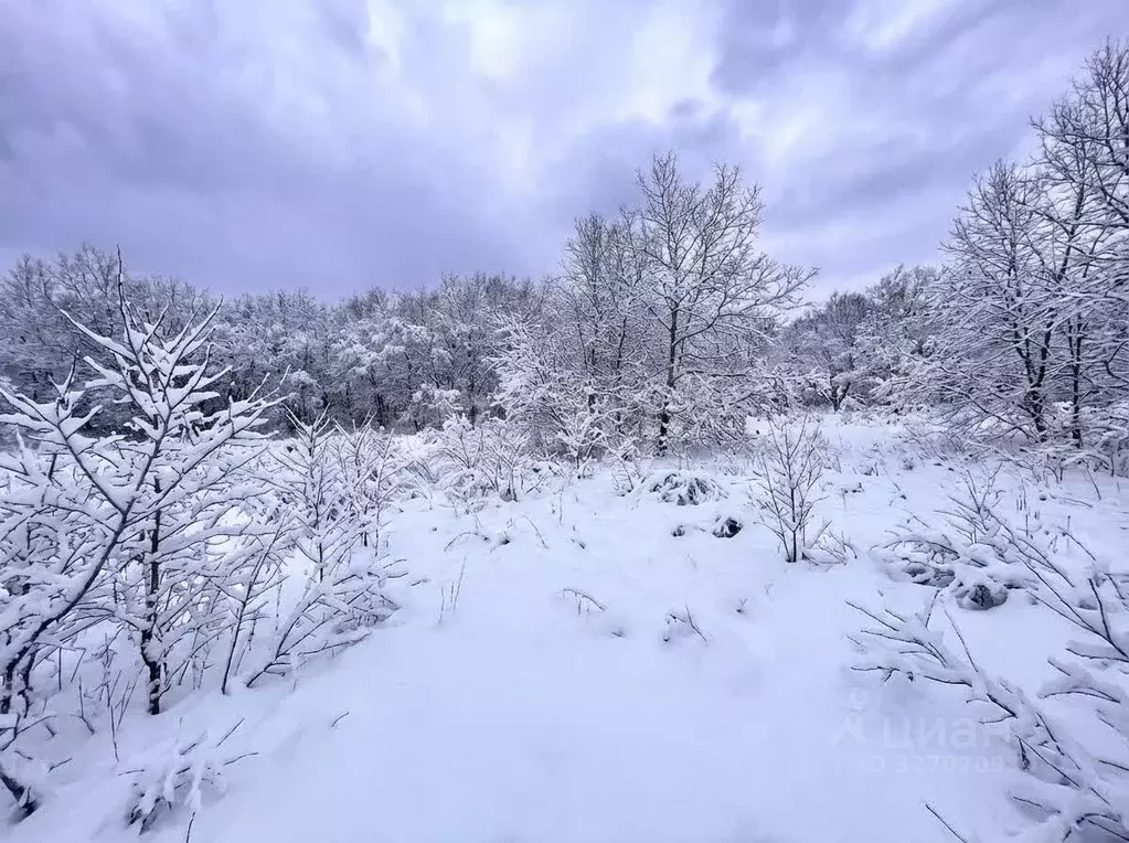 Участок в Камчатский край, Елизово Организатор-2 СНТ,  (6.0 сот.) - Фото 1