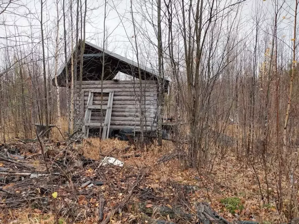 Участок в Ханты-Мансийский АО, Ханты-Мансийского муниципального района ... - Фото 1