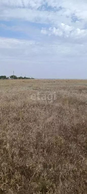 Участок в Крым, Сакский район, с. Штормовое ул. Виноградная (6.0 сот.) - Фото 1