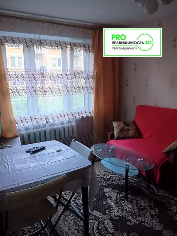 1-к кв. Калужская область, Боровский район, Совьяки с/пос, д. Митяево, ... - Фото 1