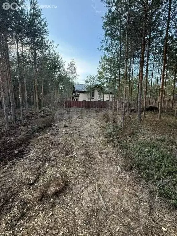 Участок в Сертоловское городское поселение, садоводческое ... - Фото 0