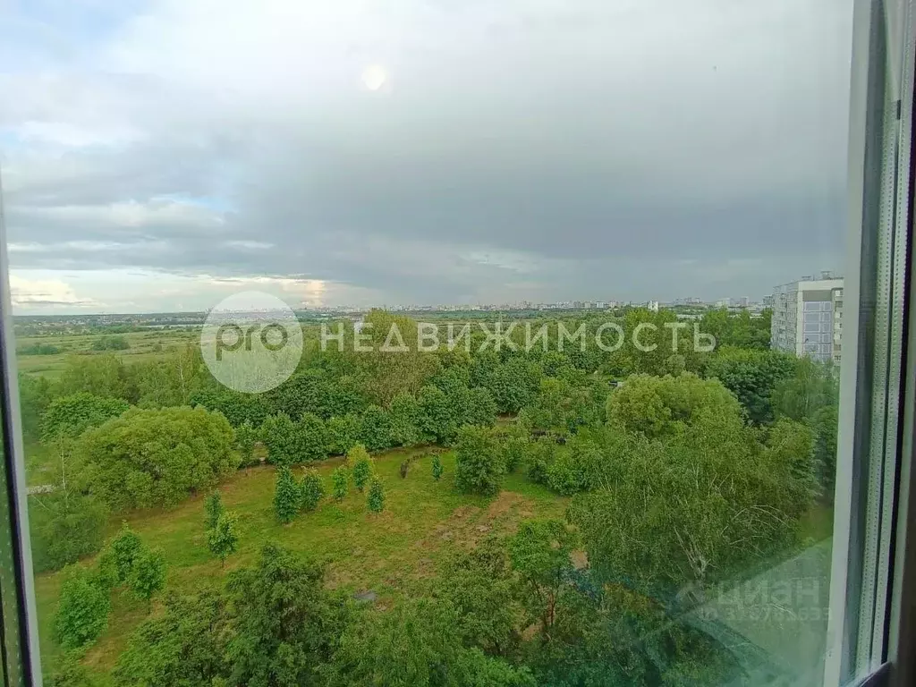 1-к кв. Рязанская область, Рязань ул. Бирюзова, 31к1 (33.0 м) - Фото 0