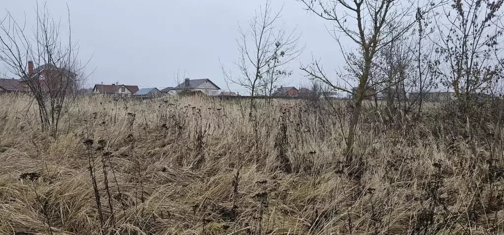 Участок в Московская область, Луховицы муниципальный округ, пос. ... - Фото 2