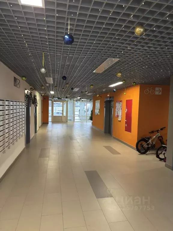 1-к кв. Волгоградская область, Волгоград ул. Степанищева, 4 (50.0 м) - Фото 1