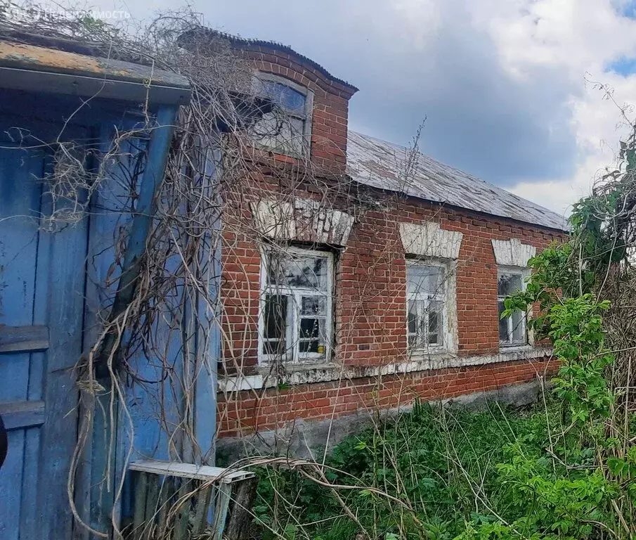 Дом в село Плахино, улица Парамоновка, 23 (39 м) - Фото 1