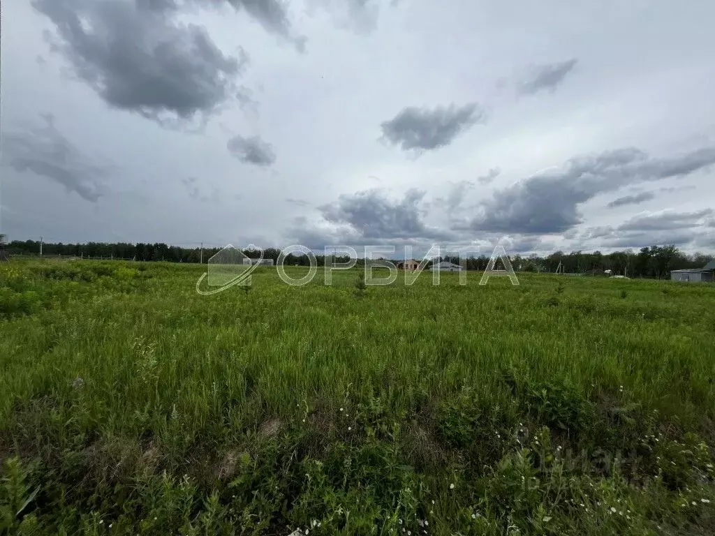 Участок в Тюменская область, Тюменский район, с. Каменка  (13.0 сот.) - Фото 0