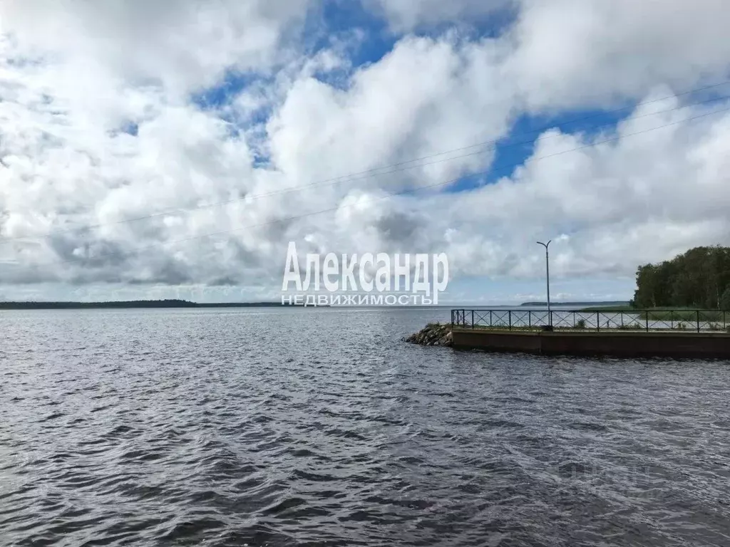 Участок в Карелия, Питкярантский муниципальный округ, Урочище Пелля ... - Фото 2