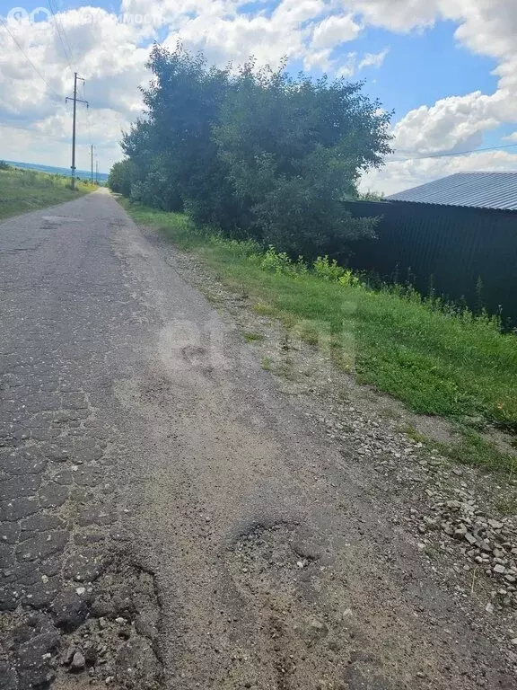 Участок в Воронежская область, Хохольское городское поселение, ПКС ... - Фото 2
