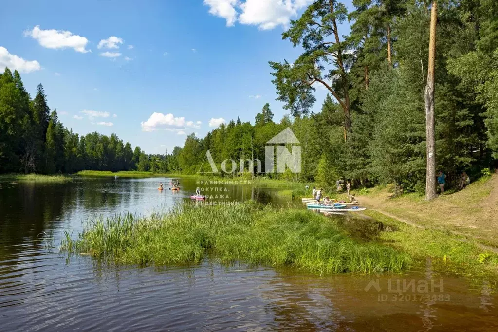 2-к кв. Ленинградская область, Гатчинский район, д. Белогорка ул. ... - Фото 1