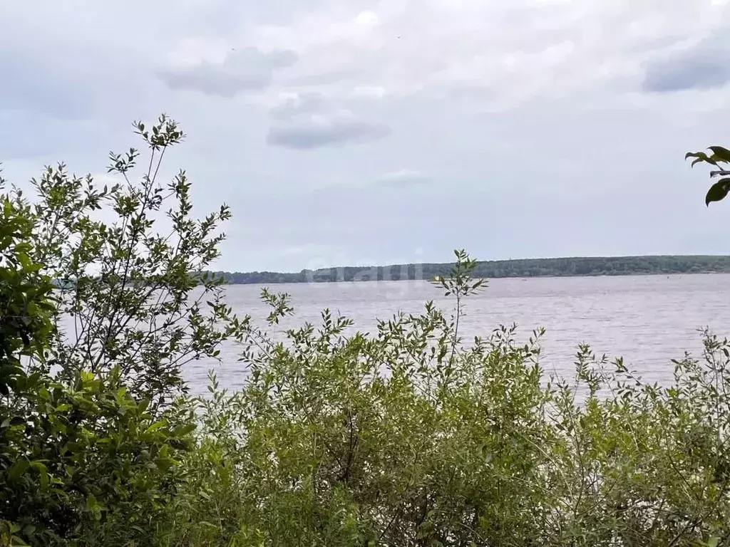 Дом в Ярославская область, Некоузский муниципальный округ, Волжское ... - Фото 1