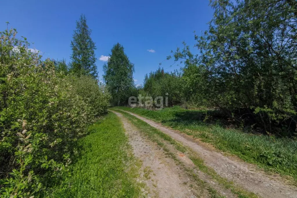 Участок в Тюменская область, Нижнетавдинский муниципальный округ, ... - Фото 1