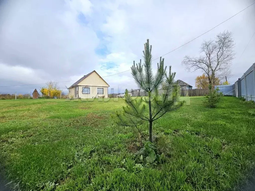 Дом в Новосибирская область, Колыванский район, с. Кандаурово ул. ... - Фото 1