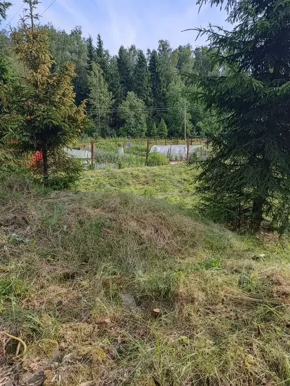 Участок в Московская область, Пушкинский городской округ, Икар СНТ  ... - Фото 0