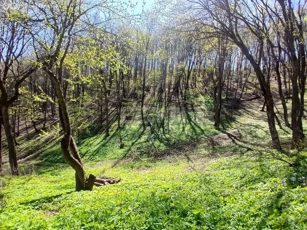 Участок в село Старая Симоновка, Меловая улица (13.39 м) - Фото 1