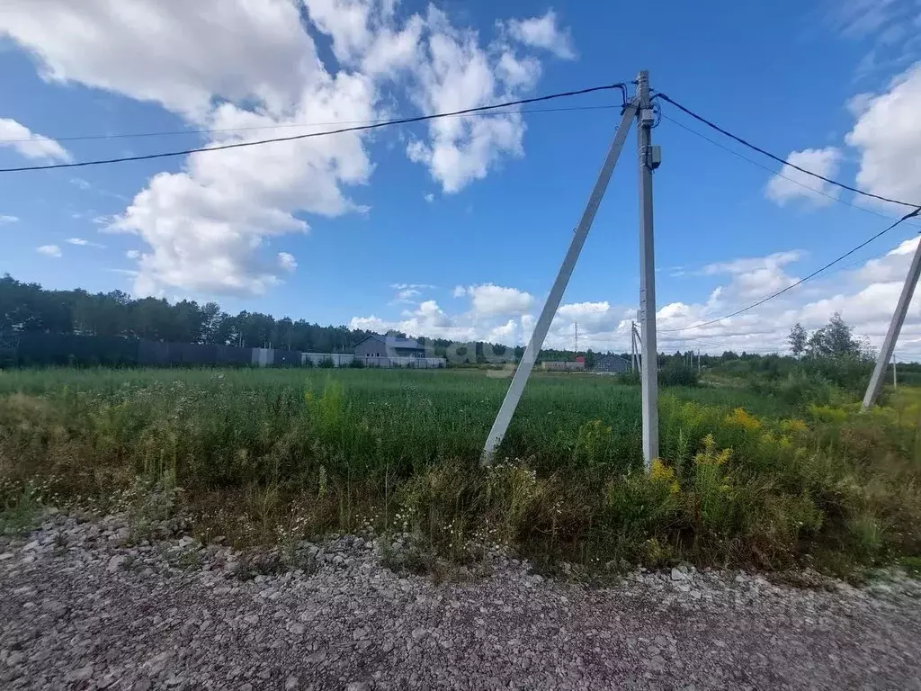 Участок в Тульская область, Тула городской округ, д. Струково  (19.22 ... - Фото 2