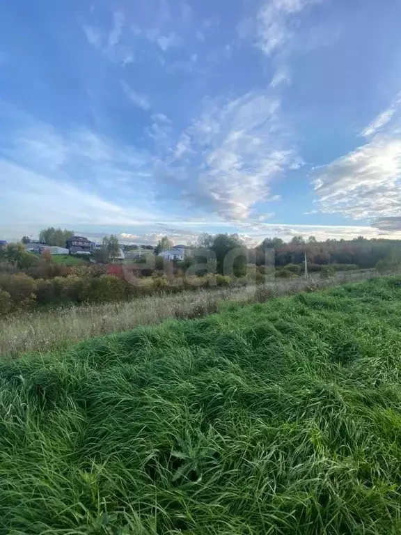 Участок в Кемеровская область, Кемеровский район, с. Андреевка ул. ... - Фото 1