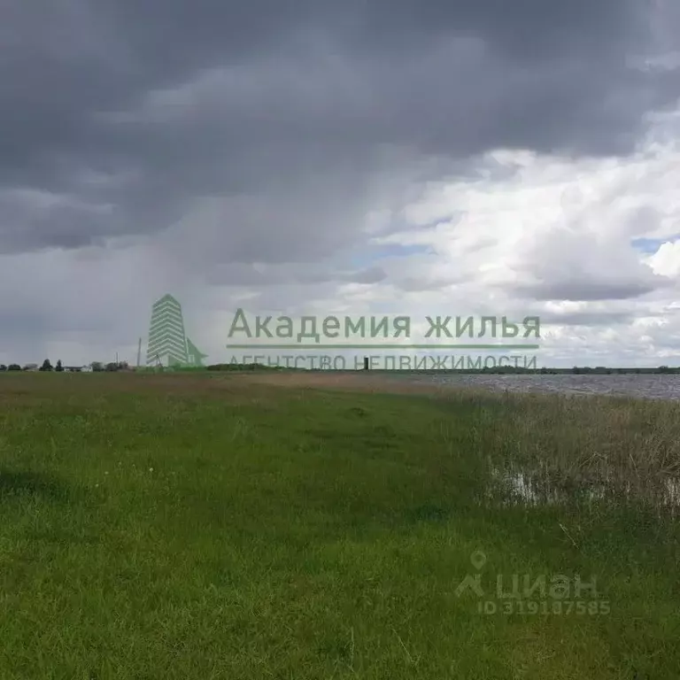 Участок в Саратовская область, Новоузенск  (3000.0 сот.) - Фото 1