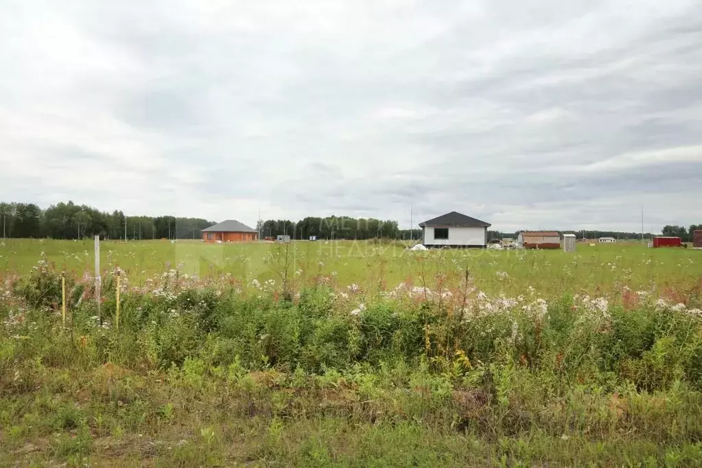 Участок в Тюменская область, Тюменский район, Новокаменский кп  (11.0 ... - Фото 1