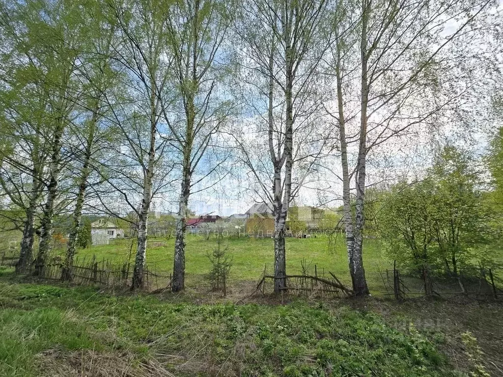 Участок в Нижегородская область, Нижний Новгород д. Кузнечиха, ул. ... - Фото 1