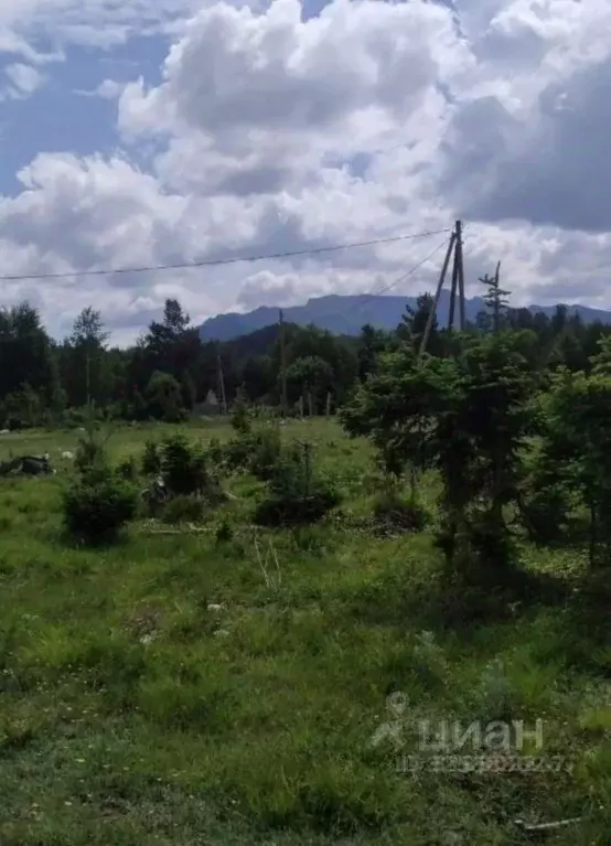 Участок в Алтай, Турочакский район, с. Турочак ул. Шукшина, 24 (10.5 ... - Фото 2