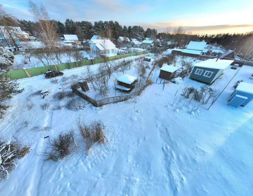 Участок в Ленинградская область, Ломоносовский район, Лебяженское ... - Фото 1