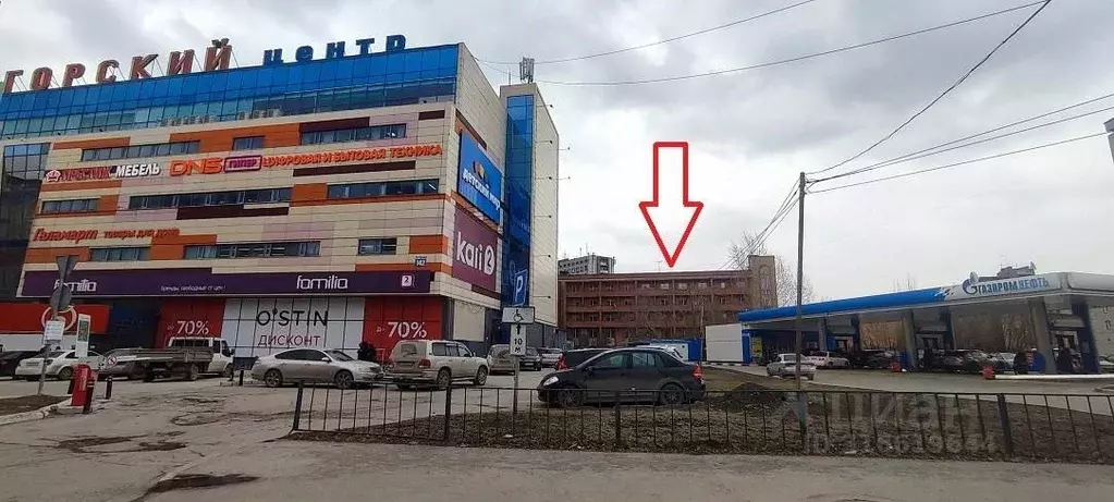 Офис в Новосибирская область, Новосибирск ул. Немировича-Данченко, 138 ... - Фото 1