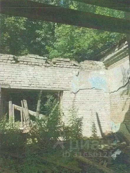 Помещение свободного назначения в Ленинградская область, Всеволожский ... - Фото 1
