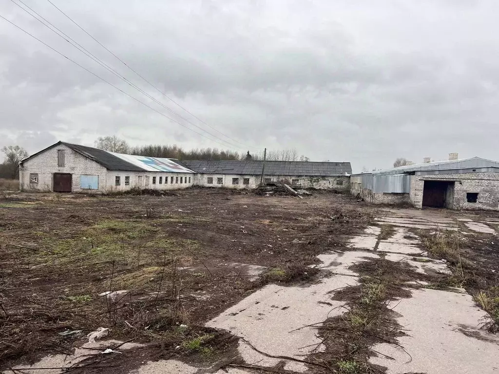 Помещение свободного назначения в Владимирская область, ... - Фото 0