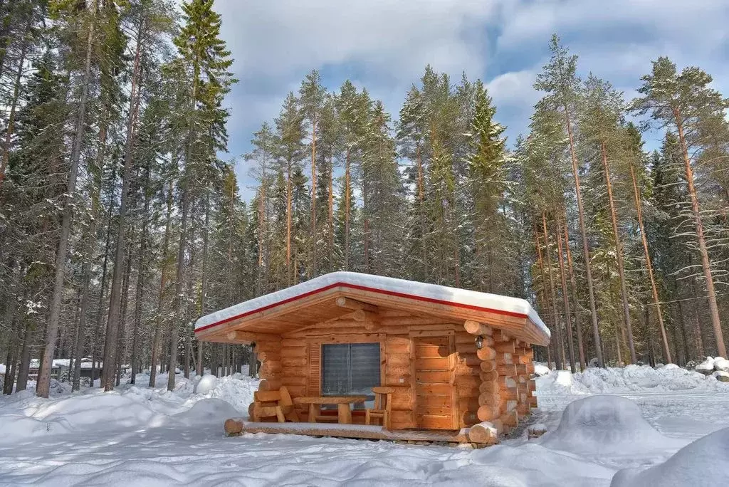 Дом в Карелия, Медвежьегорск ул. Чкалова, 30 (35 м) - Фото 2