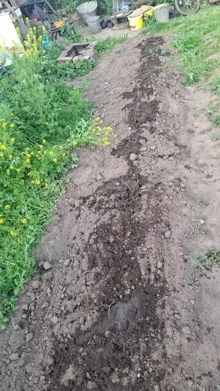 Участок в Красноярский край, Красноярск Дружба СНТ, 69 (6.8 сот.) - Фото 0
