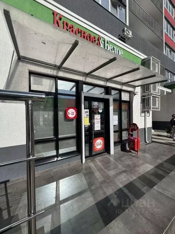 Торговая площадь в Краснодарский край, Новороссийск ул. Куникова (82 ... - Фото 0