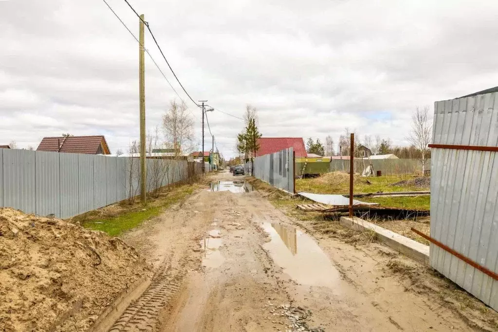 Участок в Ханты-Мансийский АО, Сургут № 41 Рябинка садоводческий ... - Фото 0