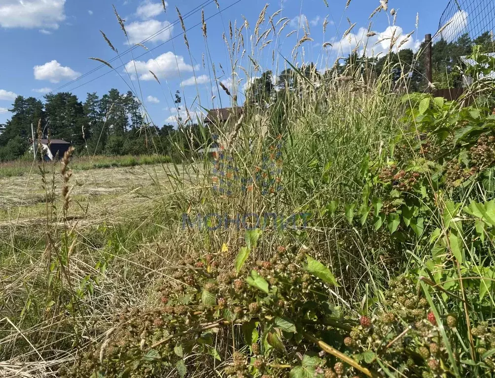 Участок в Москва № 100 кв-л,  (20.0 сот.) - Фото 2