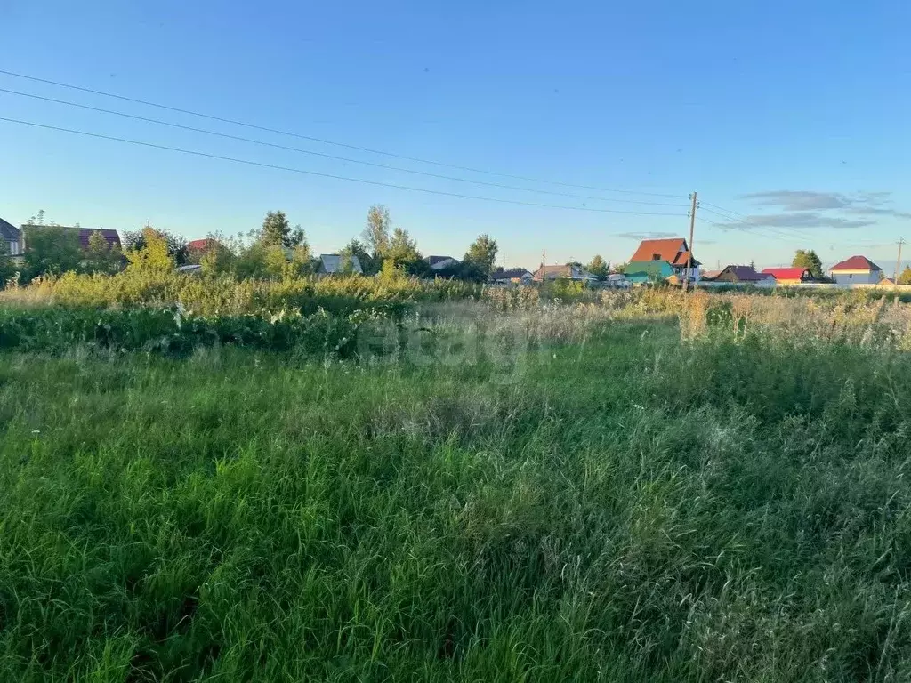 Участок в Новосибирская область, Новосибирский район, с. Ярково ... - Фото 1