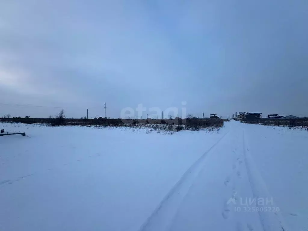 Участок в Курская область, Курский район, Моковский сельсовет, д. ... - Фото 2