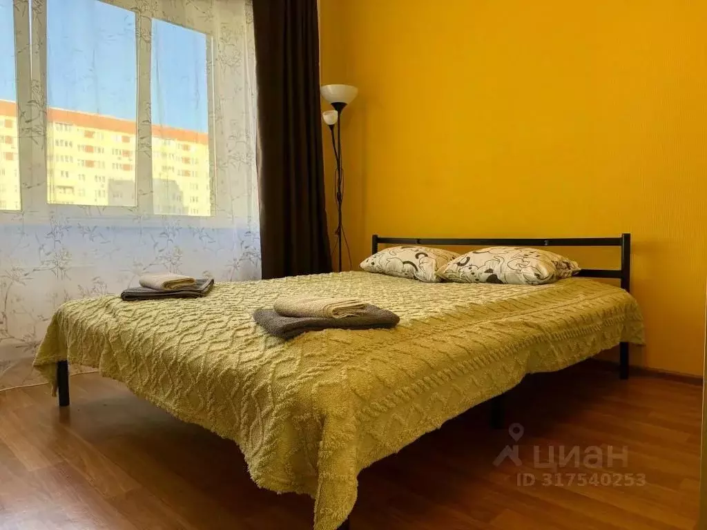 1-к кв. Псковская область, Псковский район, Завеличенская волость, д. ... - Фото 2