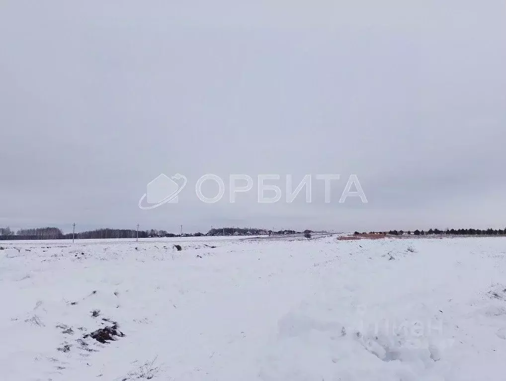 Участок в Тюменская область, Тюменский район, д. Насекина Центральная ... - Фото 0