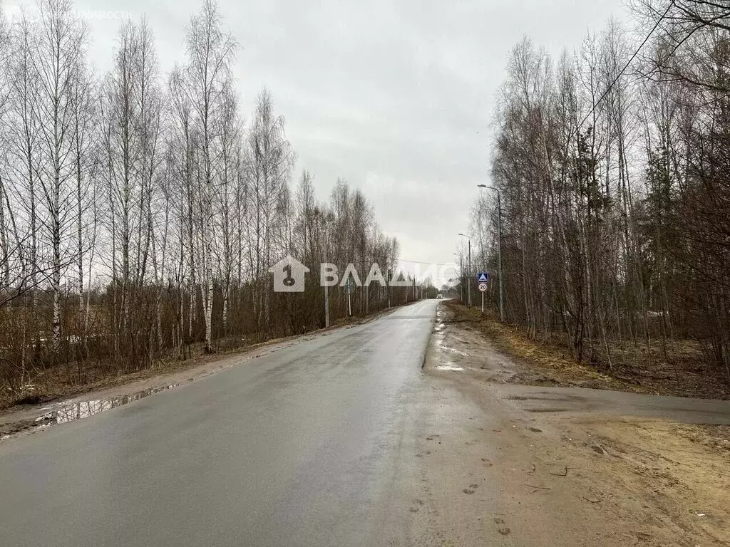 Участок в Владимирская область, Собинский муниципальный округ, село ... - Фото 1