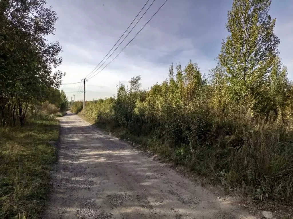 Участок в Ленинградская область, Всеволожский район, Романовское ... - Фото 0