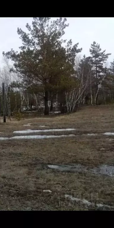 Участок в Саха (Якутия), Якутск ш. Покровское (8.0 сот.) - Фото 0