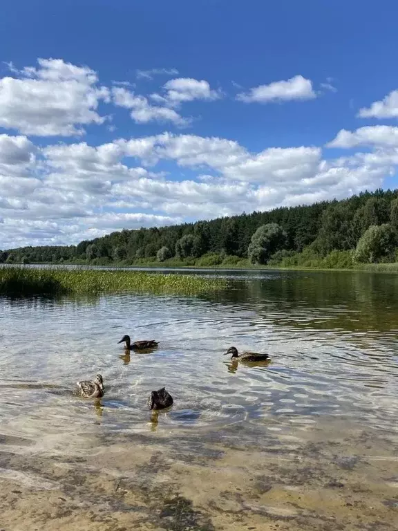 Дом в Нижегородская область, Богородский муниципальный округ, ... - Фото 1