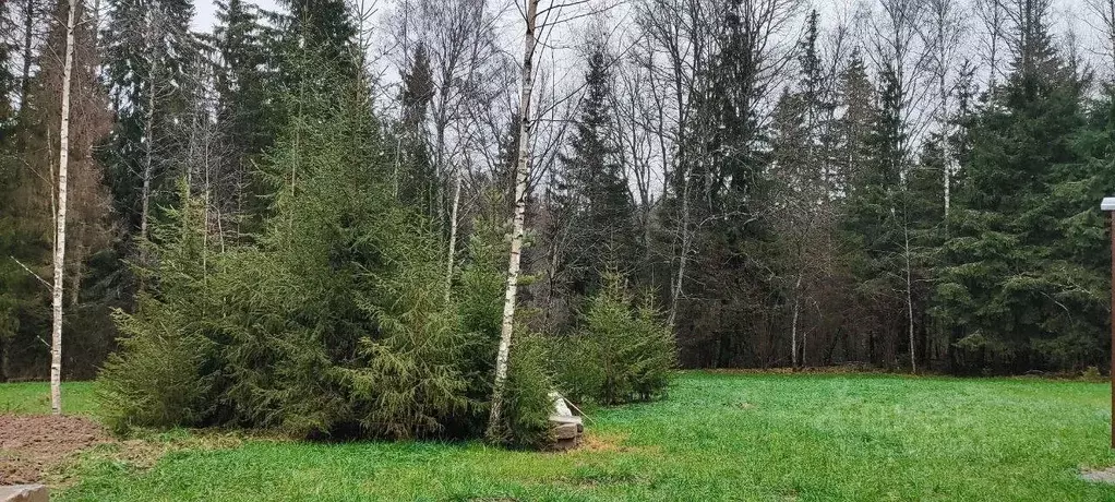 Участок в Московская область, Яхрома Дмитровский муниципальный округ, ... - Фото 1