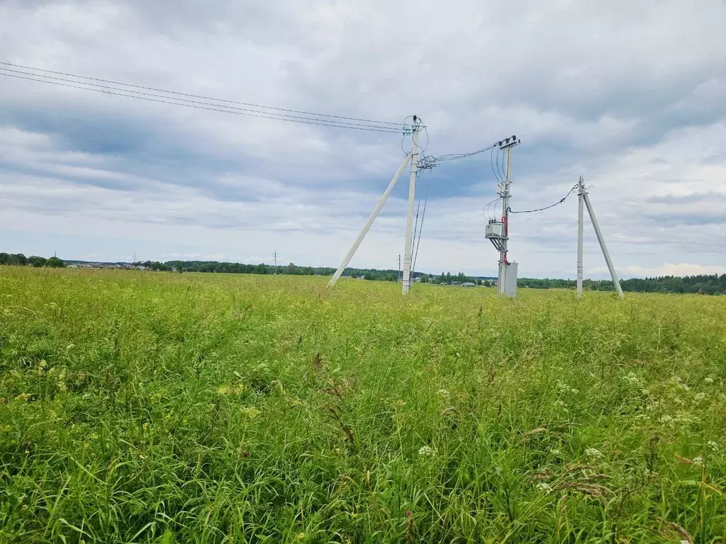 Участок в Ленинградская область, Ломоносовский район, Лопухинское ... - Фото 1