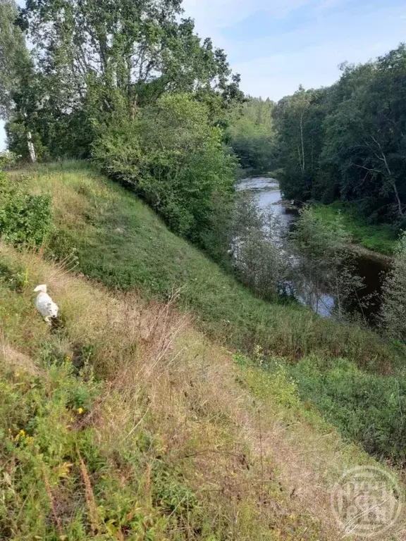 Участок в Псковская область, Палкино рп  (2200.0 сот.) - Фото 1