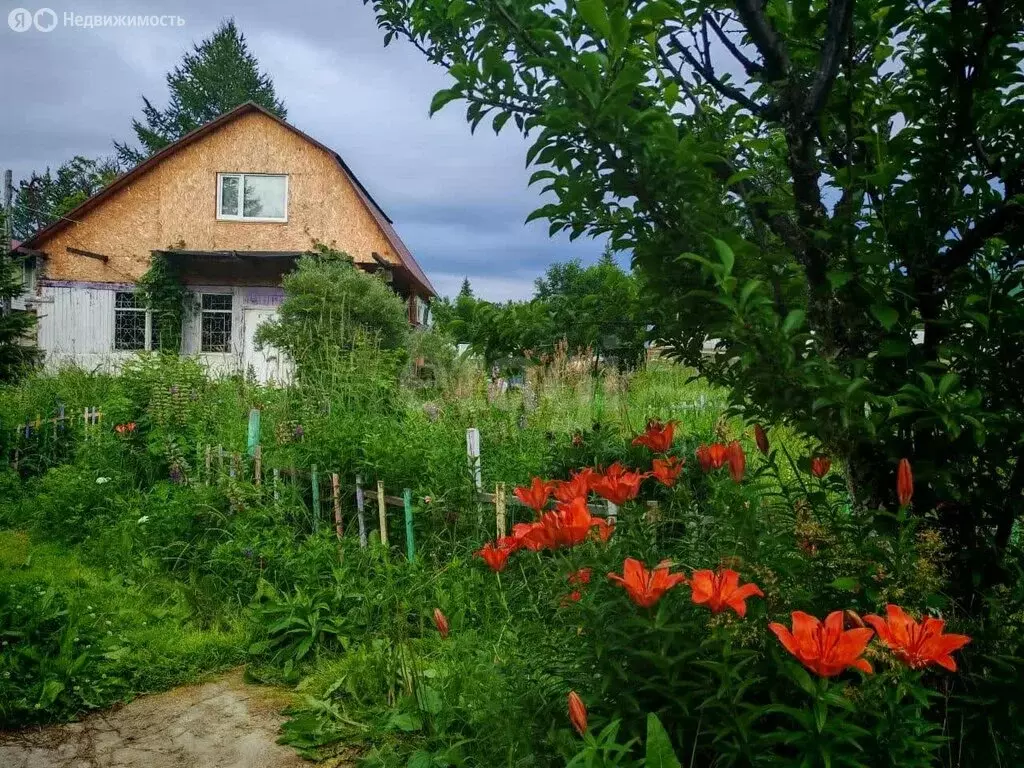 Дом в Камчатский край, Елизовский муниципальный округ, СНТ Лесное (70 ... - Фото 1