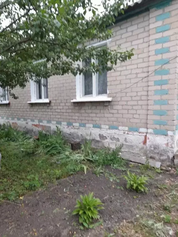 Дом в Орловская область, Сосковский район, д. Мураевка ул. Садовая, 13 ... - Фото 0