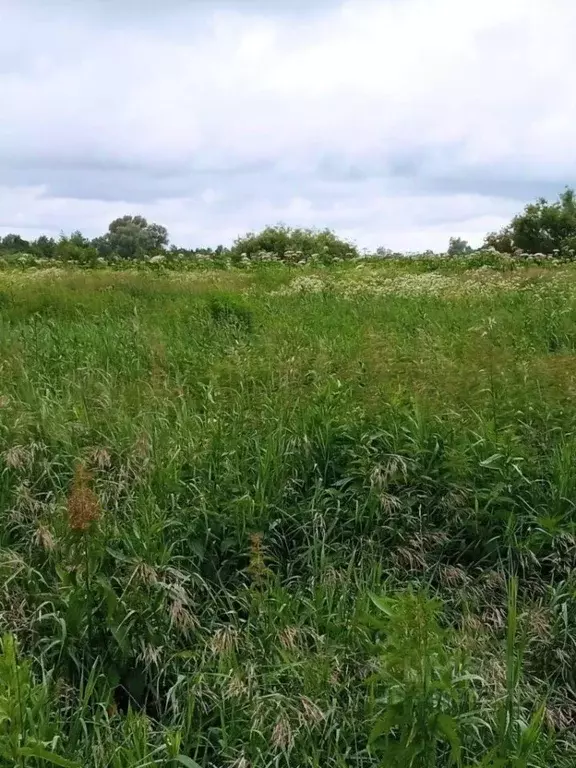 Участок в Марий Эл, Йошкар-Ола городской округ, д. Шоя-Кузнецово  ... - Фото 1