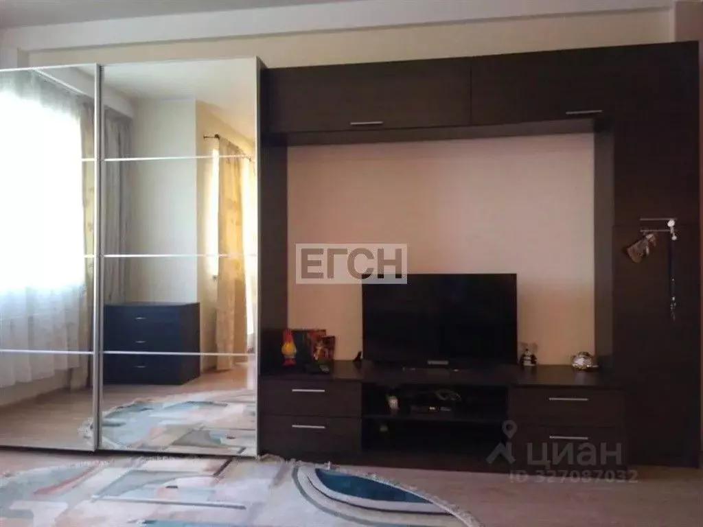 1-к кв. Московская область, Богородский городской округ, д. Щемилово ... - Фото 1