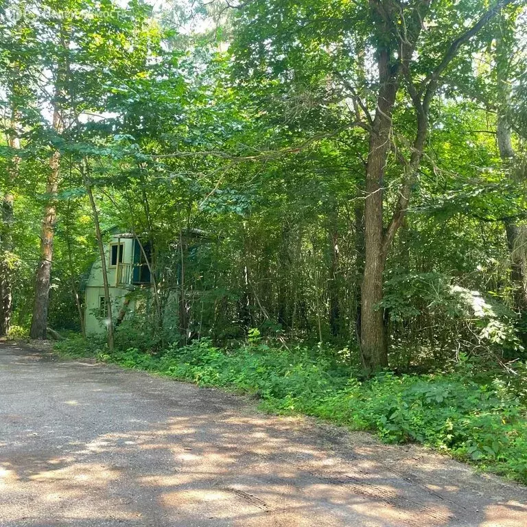 Офис (49.5 м) - Фото 1